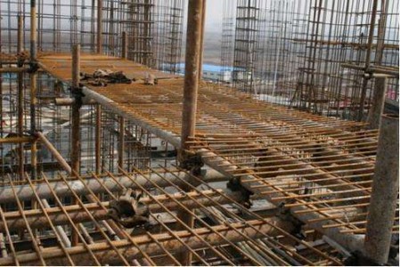 timg (7).jpg timg (7).jpg